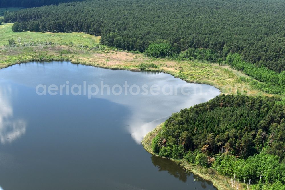 Paulhorst from the bird's eye view: Forests on the shores of Koelpin lake in Paulshorst in the state Brandenburg