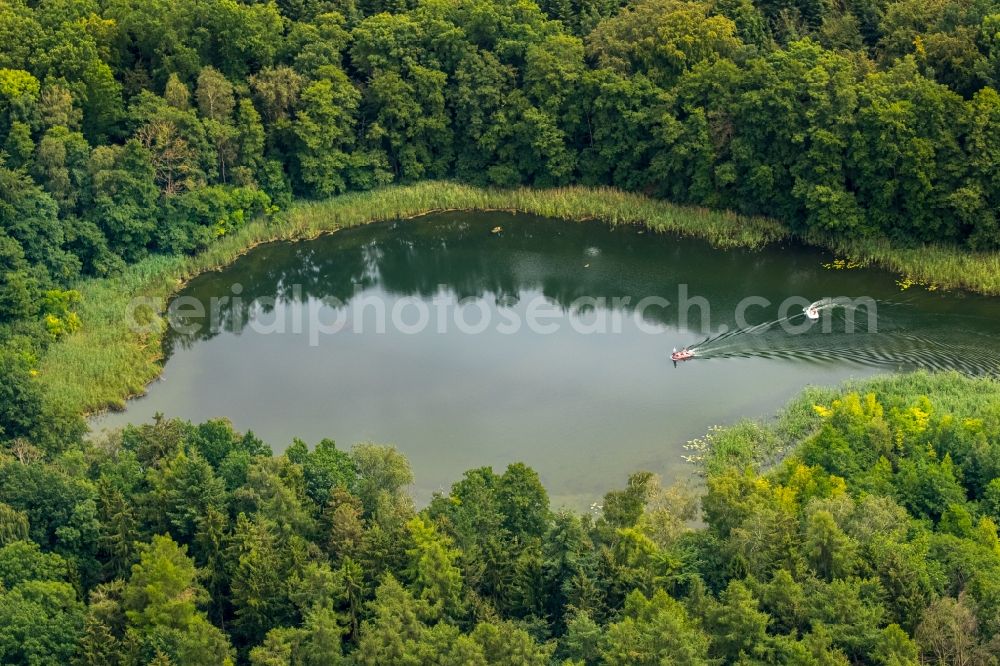 Aerial image Krakow am See - Forests on the shores of Krakow lake in Krakow am See in the state Mecklenburg - Western Pomerania