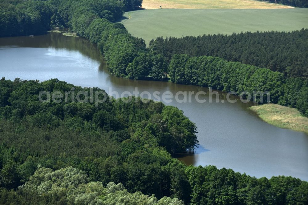 Buchholz from the bird's eye view: Forests on the shores of Lake Roennberg in Buchholz in the state Mecklenburg - Western Pomerania