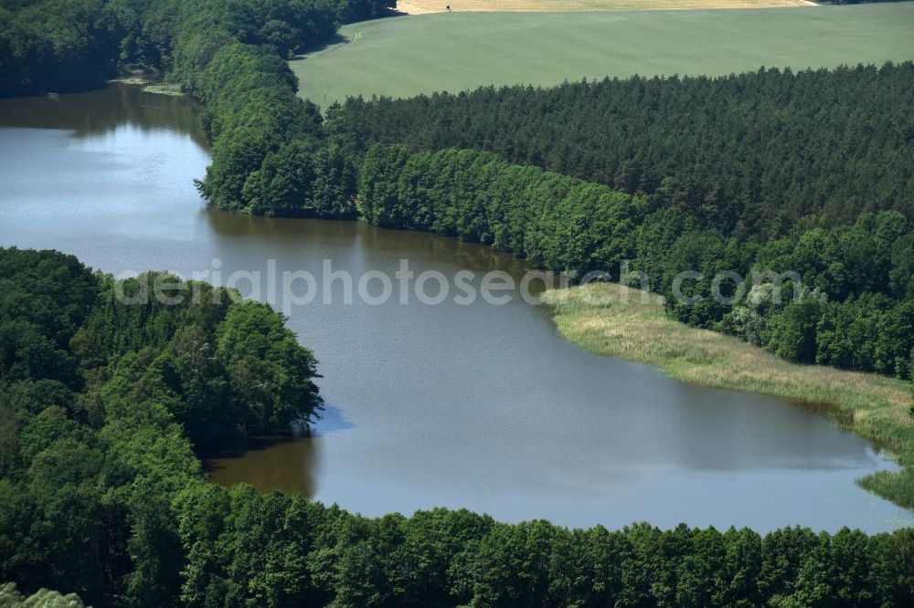 Aerial photograph Buchholz - Forests on the shores of Lake Roennberg in Buchholz in the state Mecklenburg - Western Pomerania