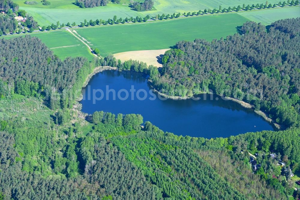 Biesenthal from above - Forests on the shores of Lake Dewinsee in Biesenthal in the state Brandenburg, Germany