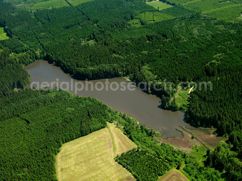 Aerial photograph Erlenmoos - Forests on the shores of Lake in Erlenmoos in the state Baden-Wuerttemberg, Germany