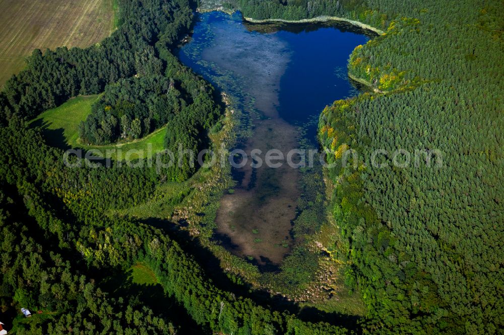 Aerial image Zechlinerhütte - Forests on the shores of Lake Grosser Heegesee in Zechlinerhuette in the state Brandenburg, Germany