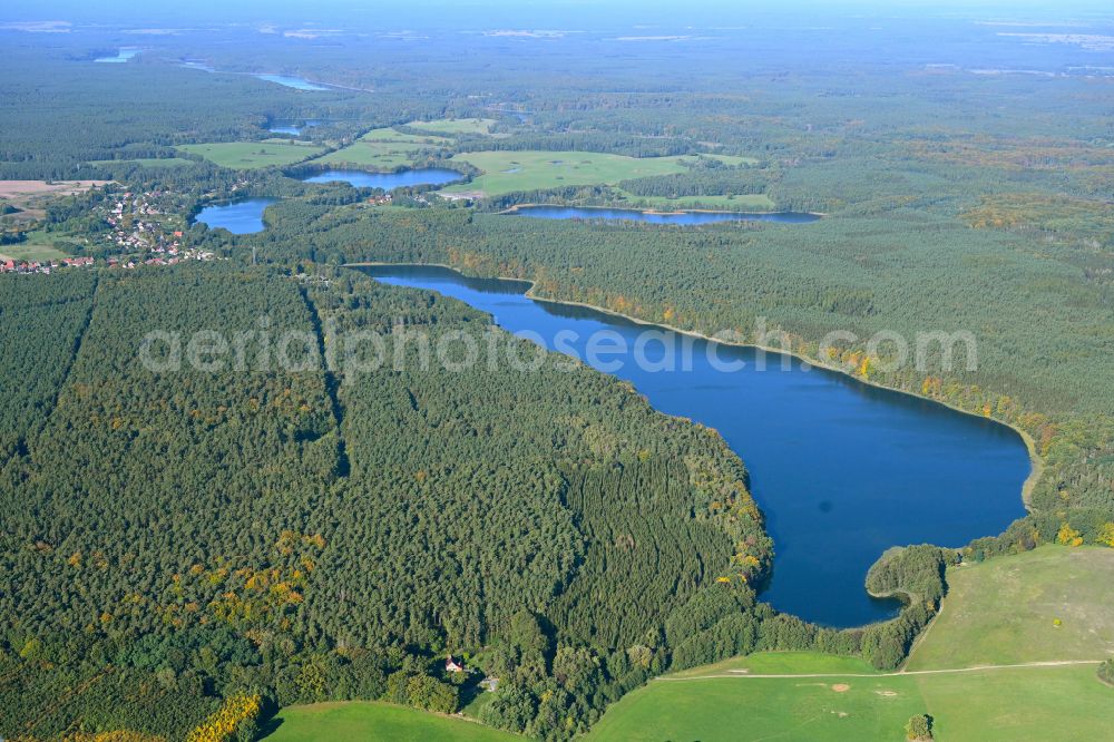 Warthe from above - Forests on the shores of Lake Grosser Warthesee in Warthe in the state Brandenburg, Germany