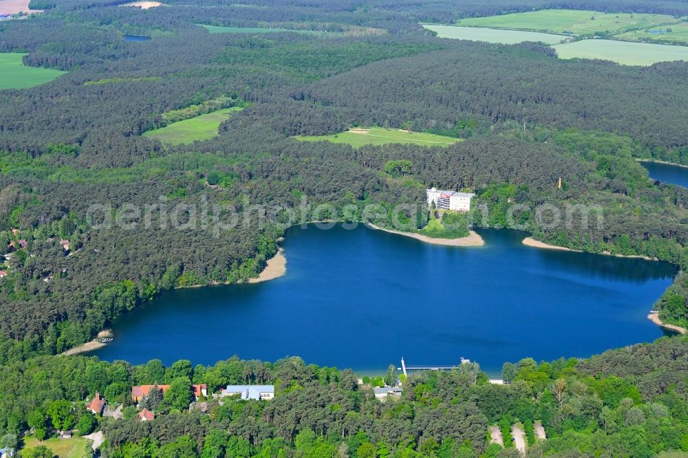 Aerial image Biesenthal - Forests on the shores of Lake Grosser Wukensee in Biesenthal in the state Brandenburg, Germany