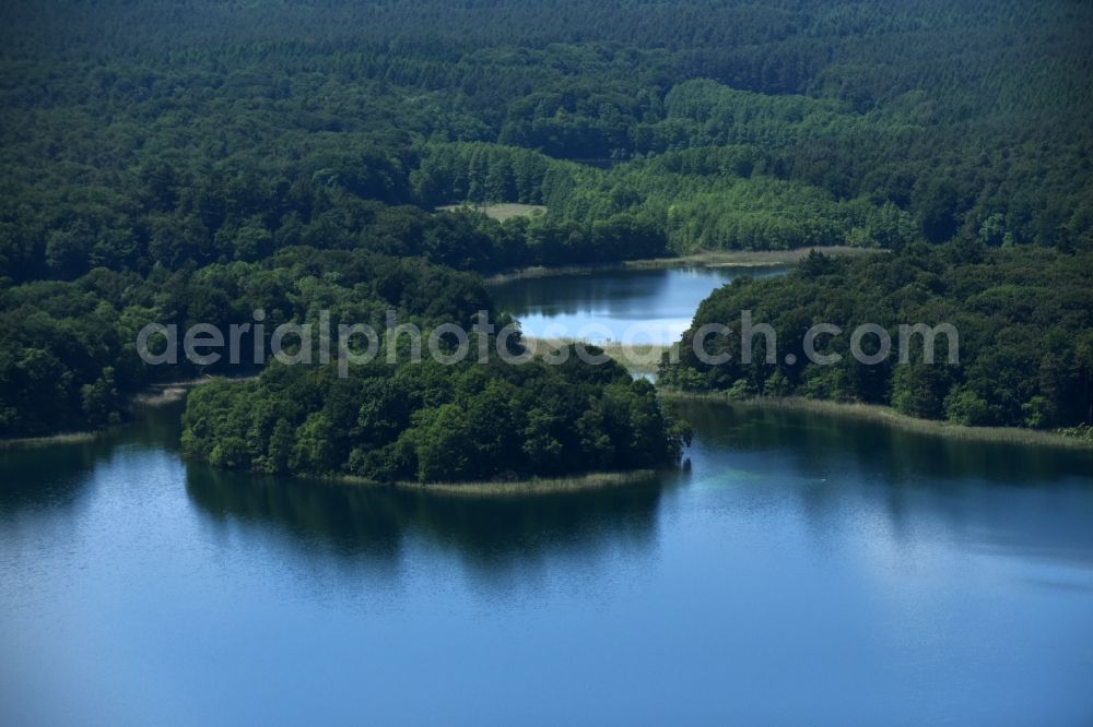 Aerial image Heimland - Forests on the shores of Lake Grosser Wummesee in Heimland in the state Brandenburg