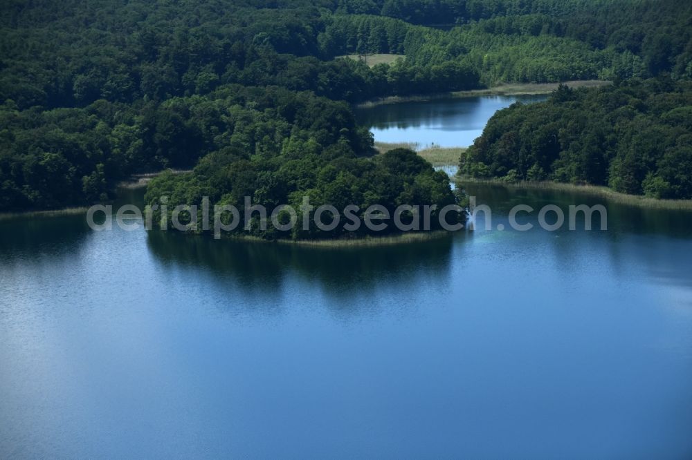 Aerial photograph Heimland - Forests on the shores of Lake Grosser Wummesee in Heimland in the state Brandenburg