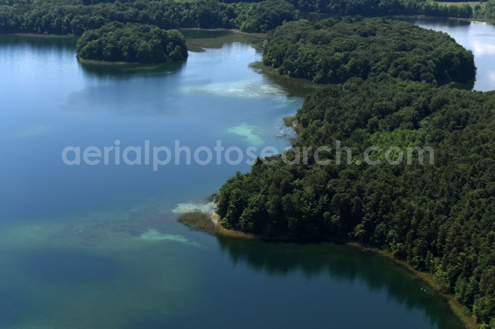 Aerial image Heimland - Forests on the shores of Lake Grosser Wummesee in Heimland in the state Brandenburg