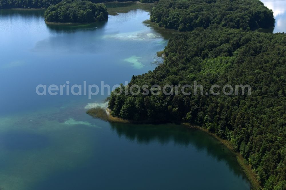 Aerial photograph Heimland - Forests on the shores of Lake Grosser Wummesee in Heimland in the state Brandenburg