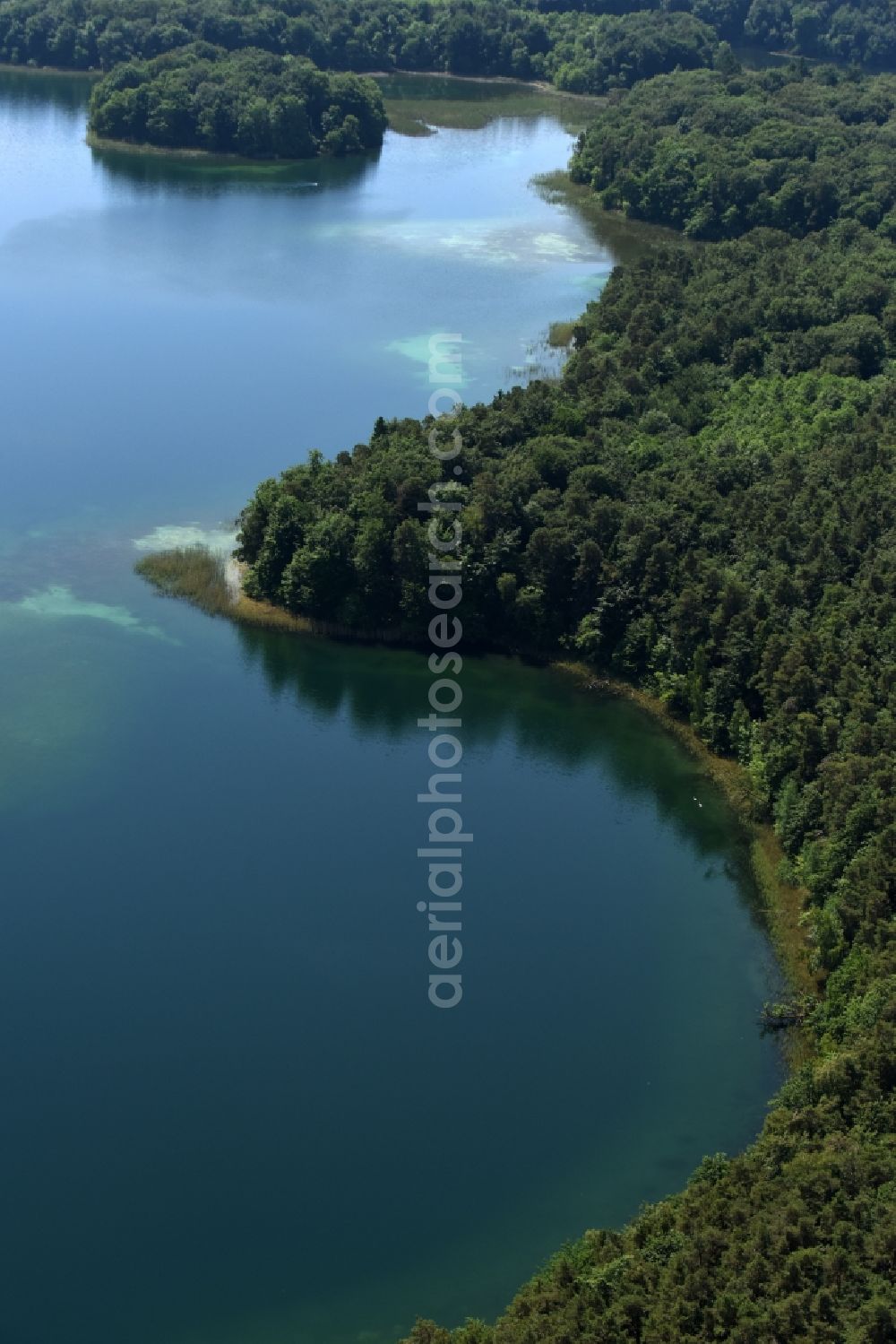 Heimland from above - Forests on the shores of Lake Grosser Wummesee in Heimland in the state Brandenburg