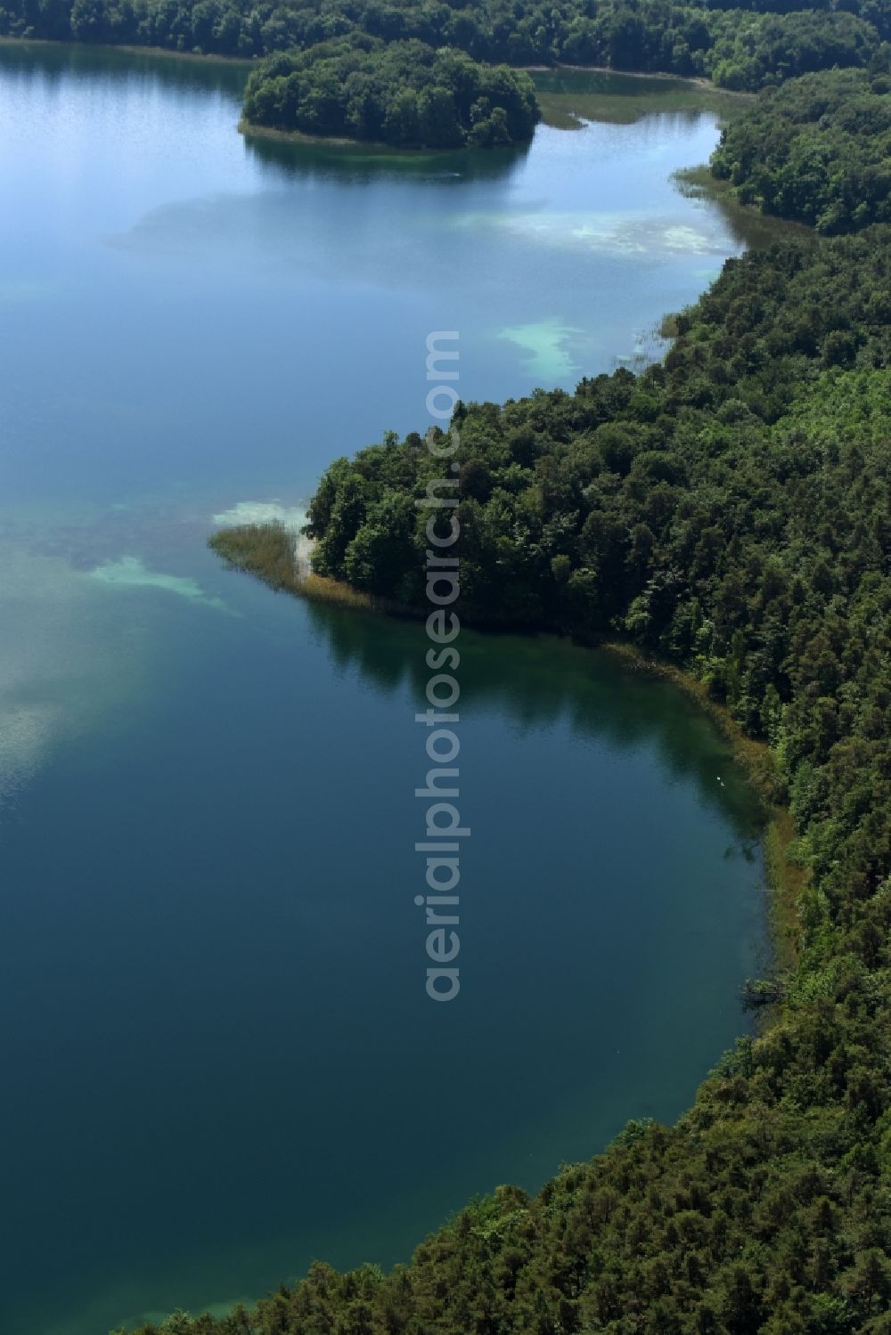 Heimland from the bird's eye view: Forests on the shores of Lake Grosser Wummesee in Heimland in the state Brandenburg