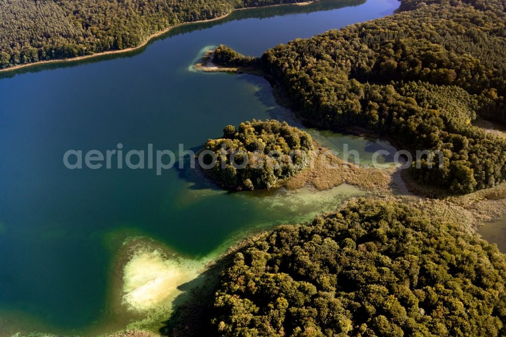 Heimland from the bird's eye view: Forests on the shores of Lake Grosser Wummesee in Heimland in the state Brandenburg