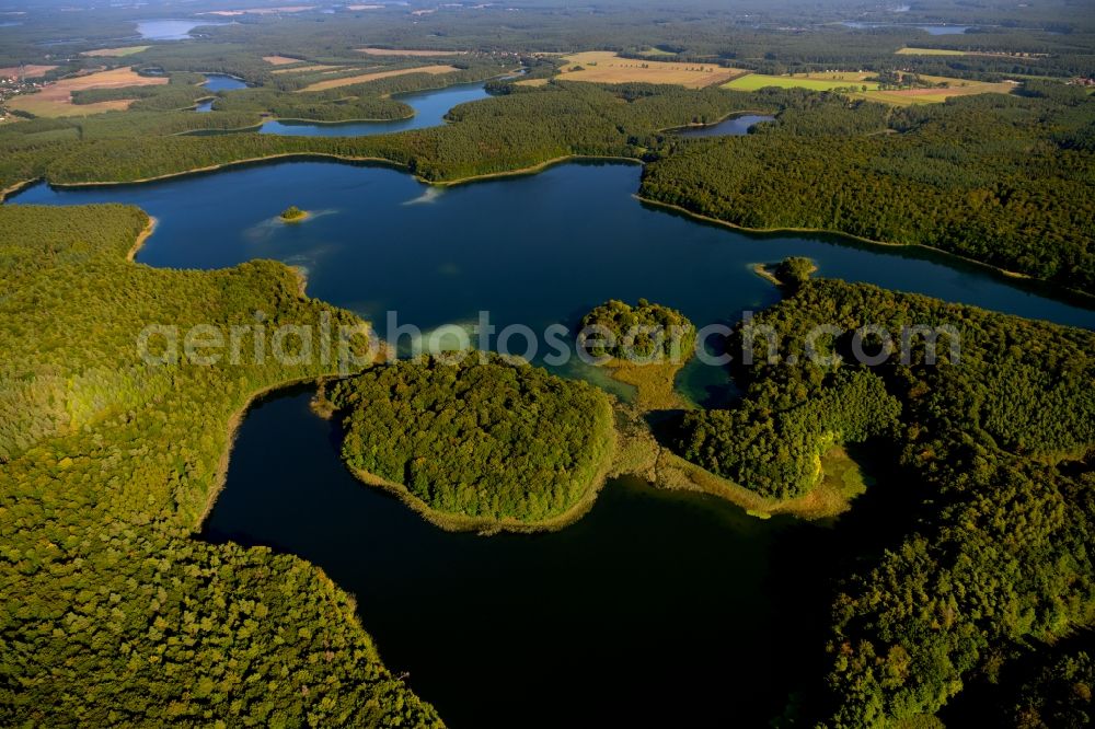 Aerial image Heimland - Forests on the shores of Lake Grosser Wummesee in Heimland in the state Brandenburg