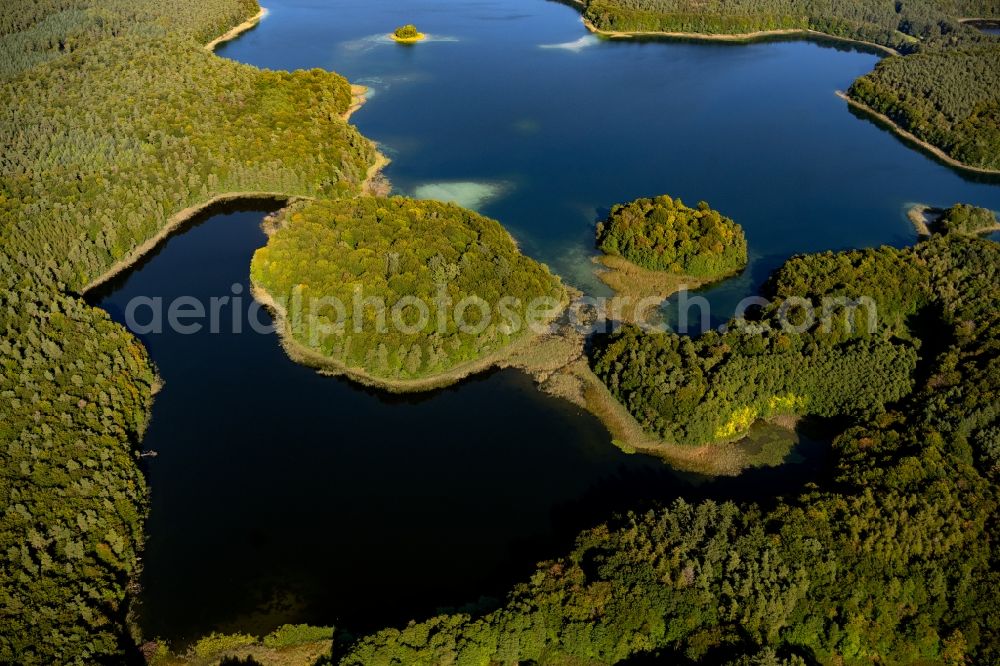 Aerial photograph Heimland - Forests on the shores of Lake Grosser Wummesee in Heimland in the state Brandenburg