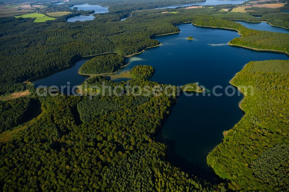 Heimland from above - Forests on the shores of Lake Grosser Wummesee in Heimland in the state Brandenburg