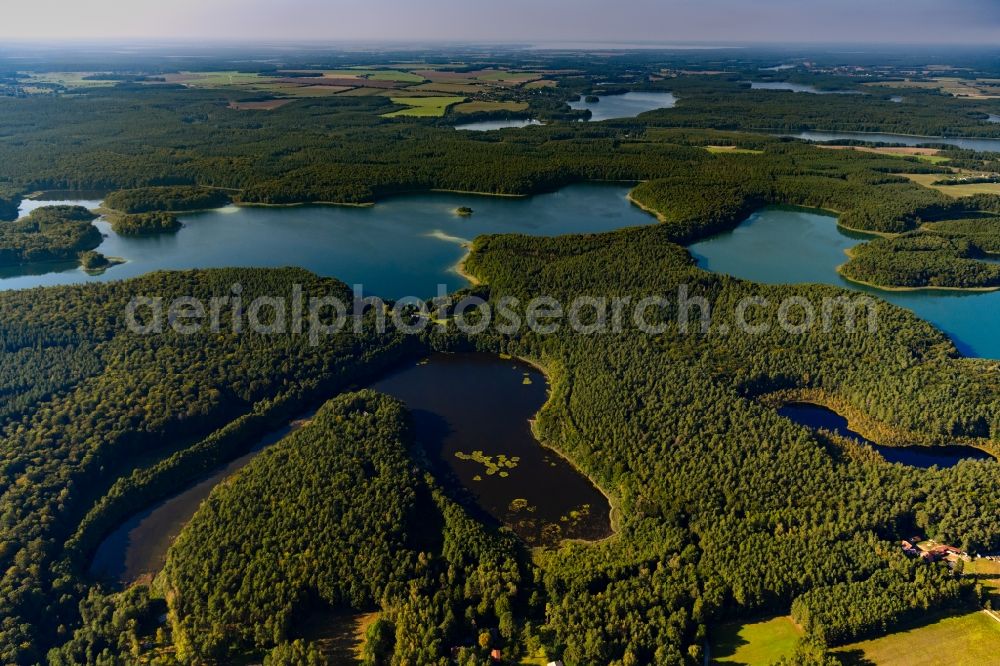 Heimland from the bird's eye view: Forests on the shores of Lake Grosser Wummesee in Heimland in the state Brandenburg