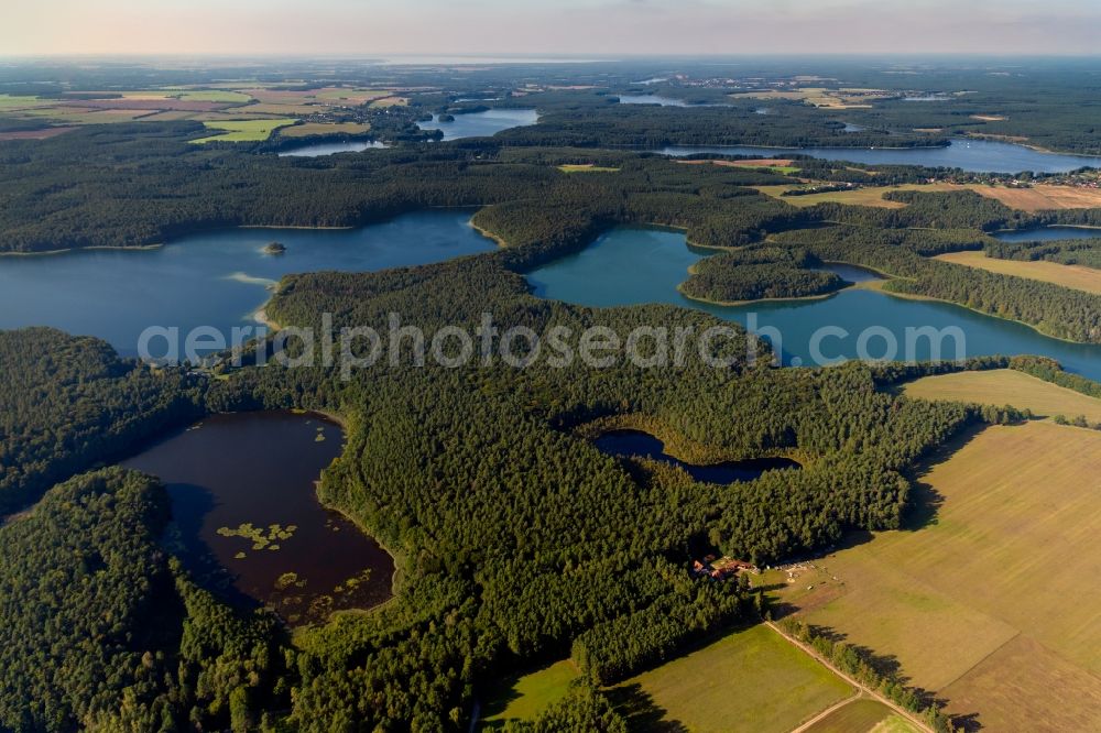 Aerial image Heimland - Forests on the shores of Lake Grosser Wummesee in Heimland in the state Brandenburg