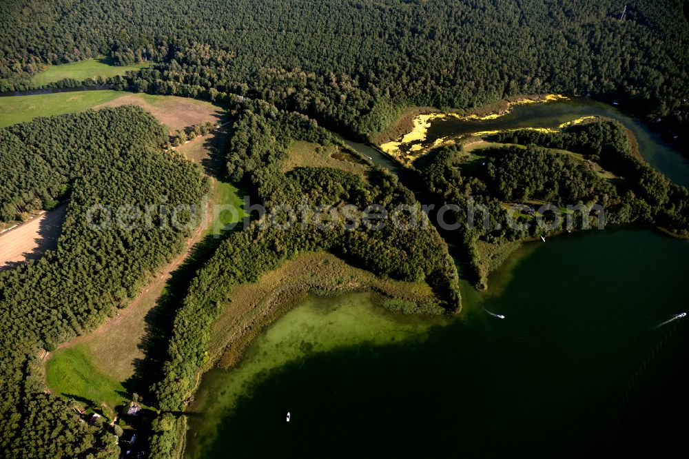 Aerial image Luhme - Forests on the shores of Lake Grosser Zechliner See on street Landwehrbruecke in Luhme in the state Brandenburg, Germany