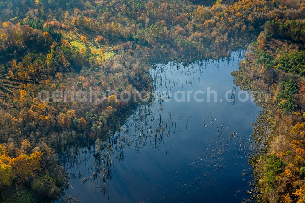 Bottrop from the bird's eye view: forests on the shores of Lake Heidesee in Bottrop at Ruhrgebiet in the state North Rhine-Westphalia, Germany