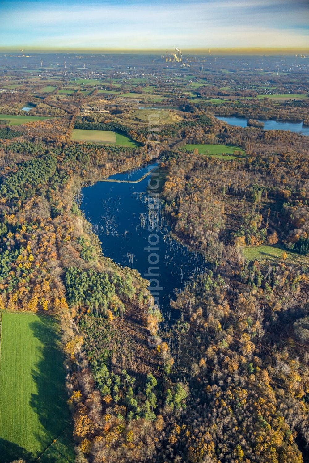 Aerial image Bottrop - forests on the shores of Lake Heidesee in Bottrop at Ruhrgebiet in the state North Rhine-Westphalia, Germany