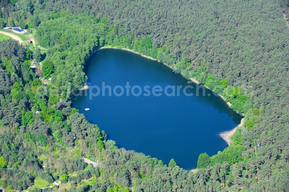 Aerial photograph Biesenthal - Forests on the shores of Lake Kleiner Wukensee in Biesenthal in the state Brandenburg, Germany