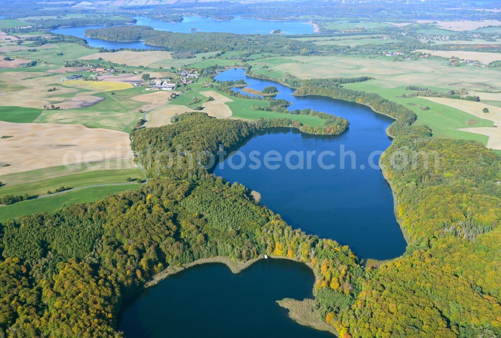 Aerial image Buchenhain - Forests on the shores of Lake Krewitzsee in Buchenhain in the state Brandenburg, Germany