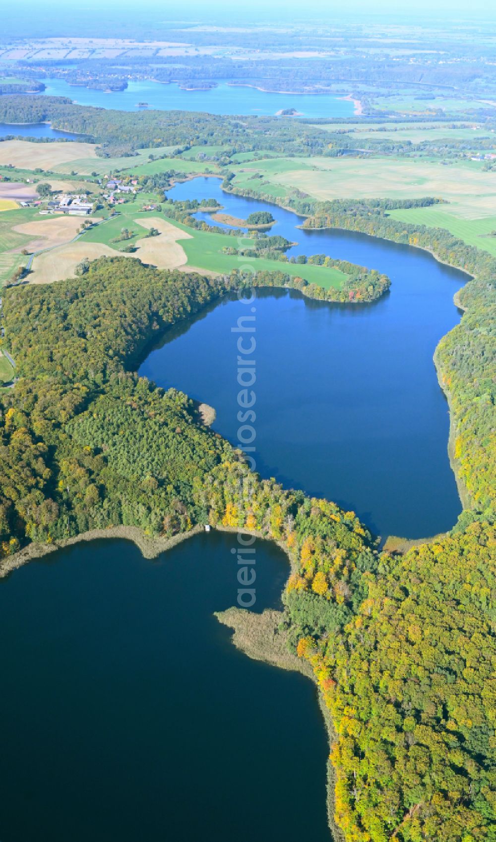 Aerial photograph Buchenhain - Forests on the shores of Lake Krewitzsee in Buchenhain in the state Brandenburg, Germany