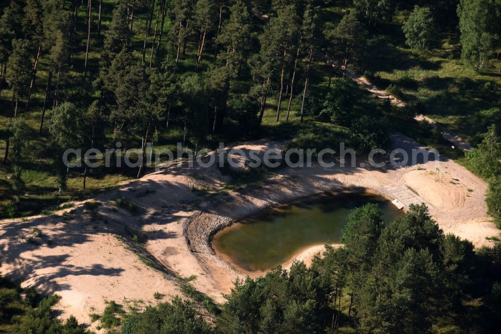 Lübtheen from the bird's eye view: Forests on the shores of Lake in Luebtheen in the state Mecklenburg - Western Pomerania