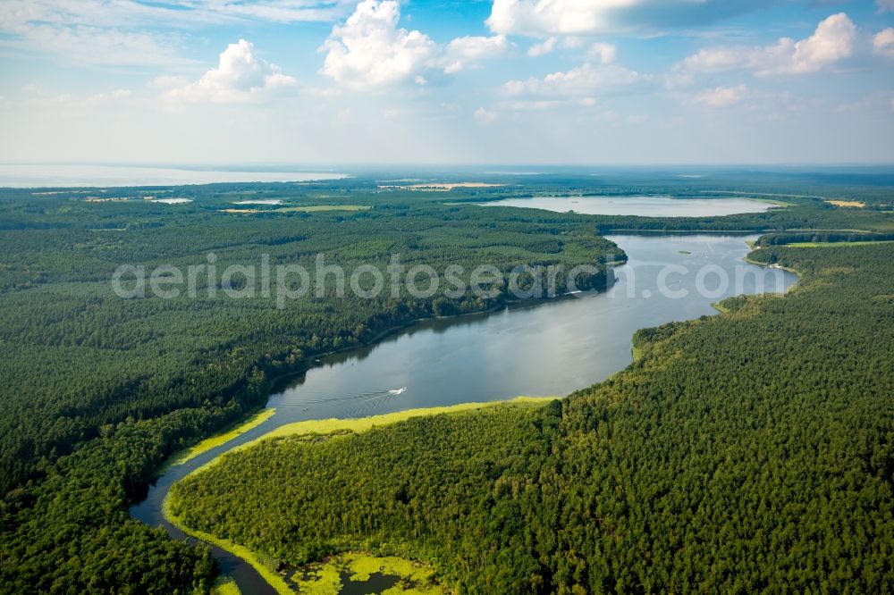 Roggentin from above - Forests on the shores of Lake Leppinsee in Roggentin in the state Mecklenburg - Western Pomerania