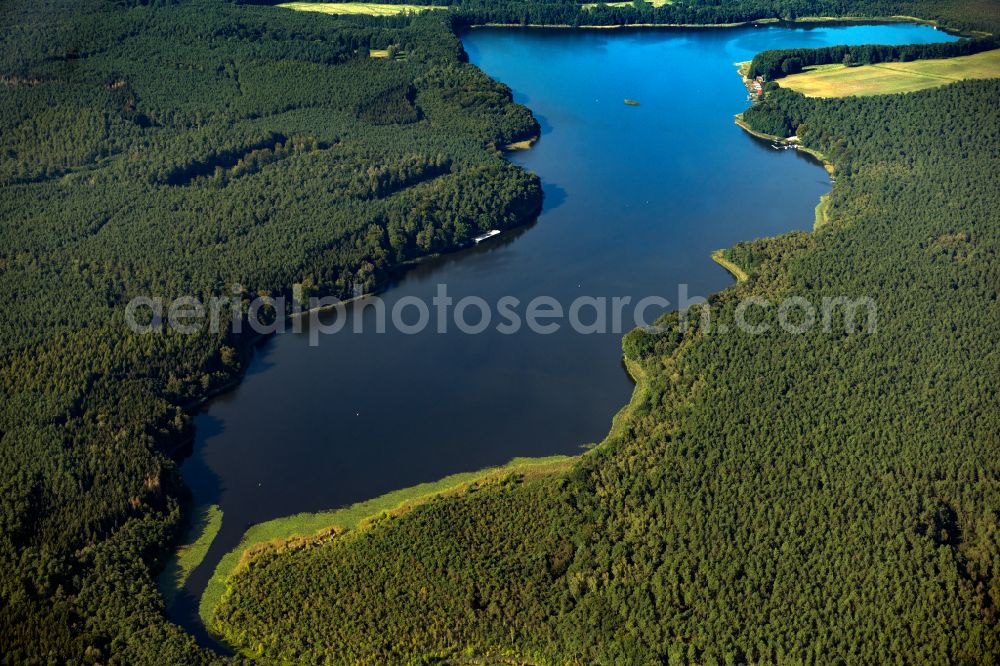 Aerial image Roggentin - Forests on the shores of Lake Leppinsee in Roggentin in the state Mecklenburg - Western Pomerania