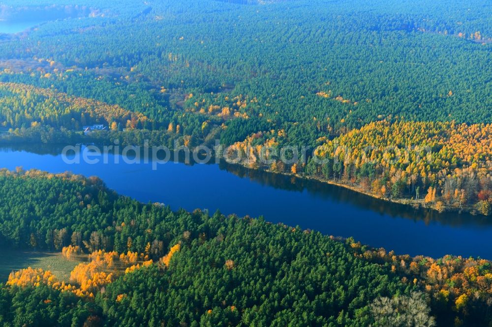 Rutenberg from above - Forests on the shores of Lake Linowsee in Rutenberg in the state Mecklenburg - Western Pomerania, Germany