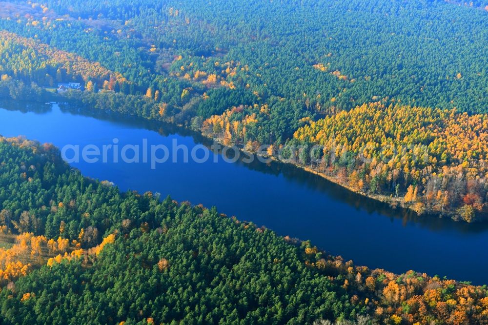 Rutenberg from the bird's eye view: Forests on the shores of Lake Linowsee in Rutenberg in the state Mecklenburg - Western Pomerania, Germany