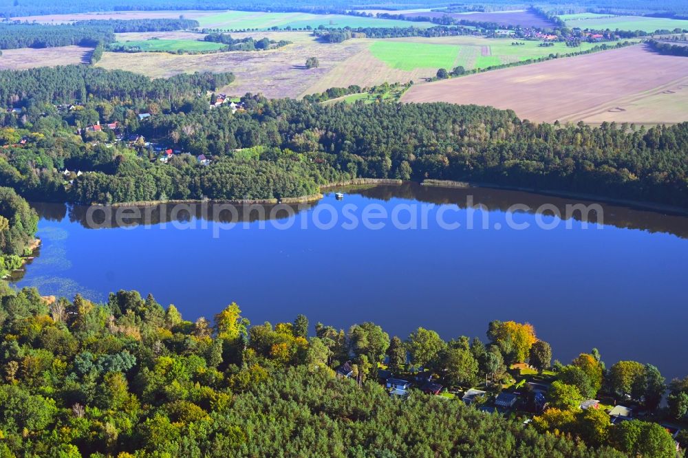 Aerial photograph Molchow - Forests on the shores of Lake Molchowsee in Molchow in the state Brandenburg, Germany