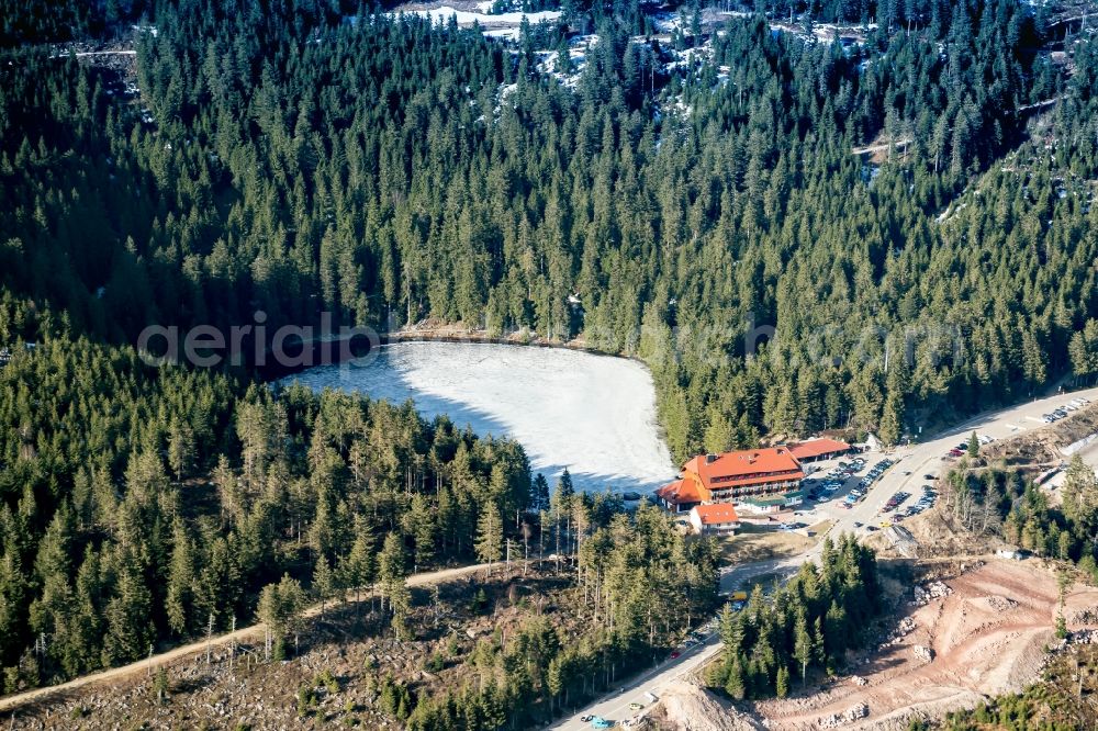 Seebach from the bird's eye view: Forests on the shores of Lake Mummelsee in Seebach in the state Baden-Wuerttemberg, Germany