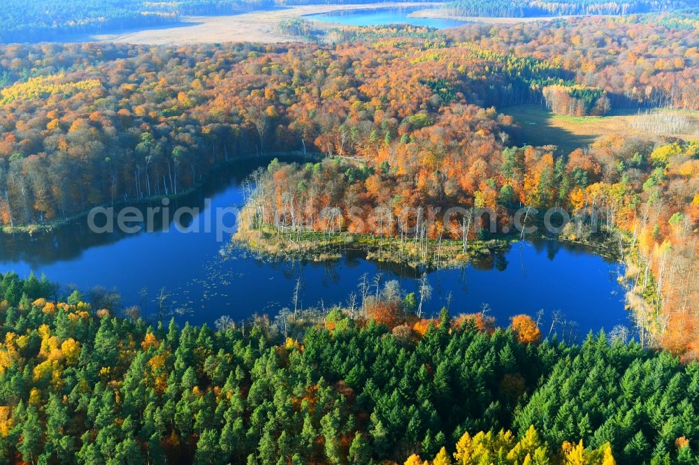 Carpin from above - Forests on the shores of Lake Schweingartensee in Carpin in the state Mecklenburg - Western Pomerania, Germany