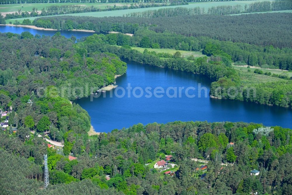 Böhmerheide from the bird's eye view: Forests on the shores of Lake Weisser See in Boehmerheide at Schorfheide in the state Brandenburg, Germany