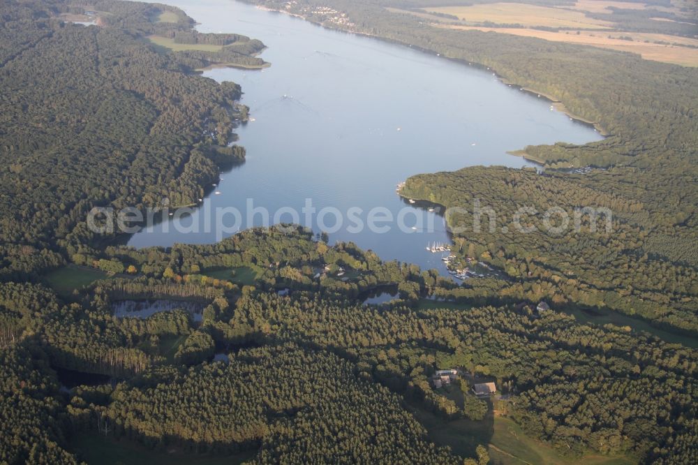 Aerial image Wildau - Forests on the shores of Lake Werbellinsee in Wildau in the state Brandenburg