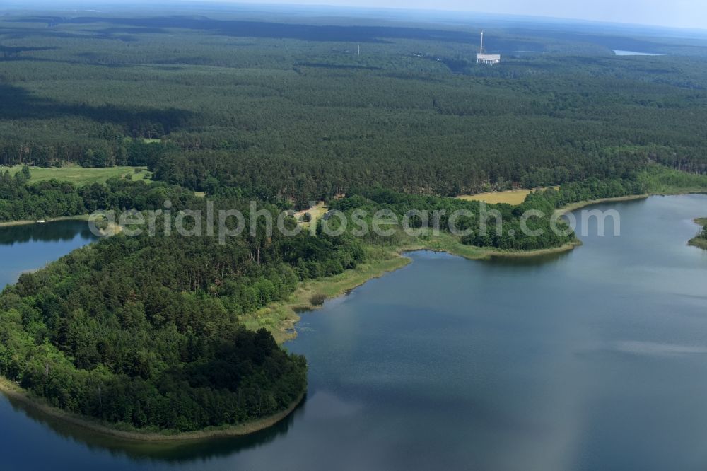 Feldgrieben from the bird's eye view: Forests on the shores of Lake Witwesee in Feldgrieben in the state Brandenburg