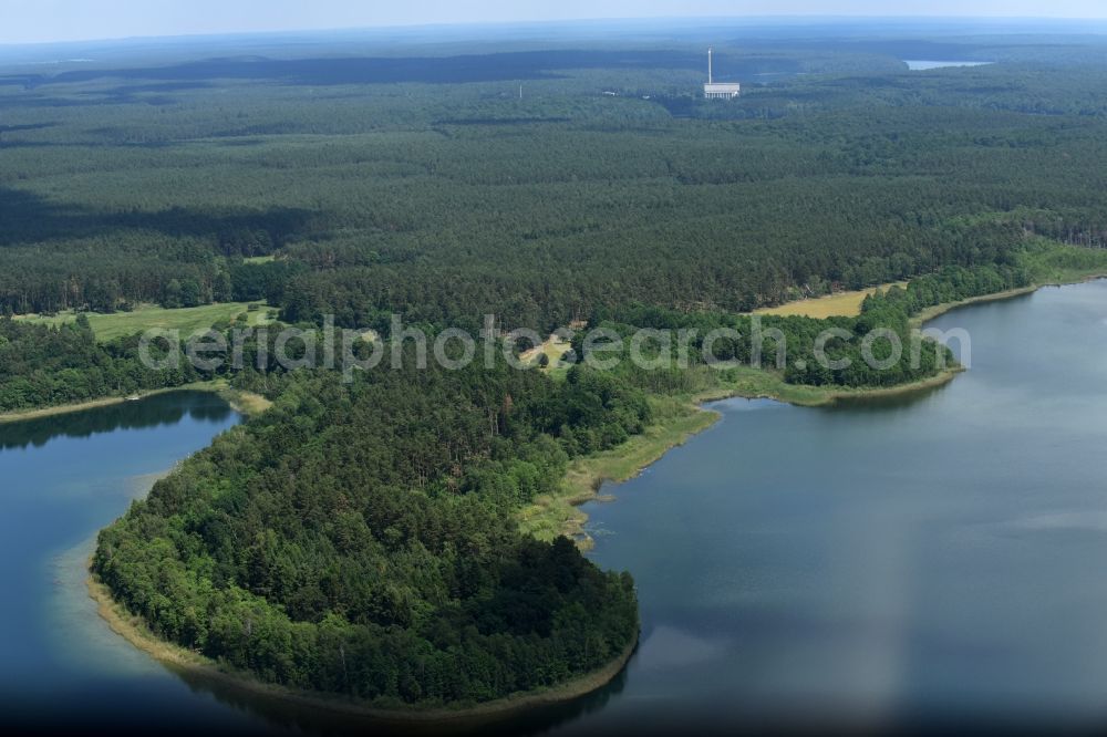 Aerial image Feldgrieben - Forests on the shores of Lake Witwesee in Feldgrieben in the state Brandenburg