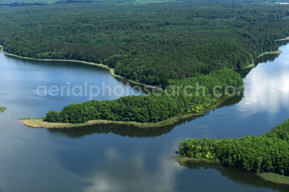 Aerial image Schwarz - Forests on the shores of Lake Zethner See in Schwarz in the state Mecklenburg - Western Pomerania