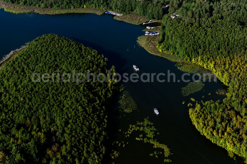 Mirow from the bird's eye view: Forests on the shores of Lake Zotzensee in Mirow in the state Mecklenburg - Western Pomerania, Germany