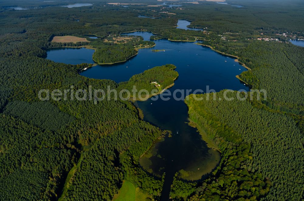 Mirow from above - Forests on the shores of Lake Zotzensee in Mirow in the state Mecklenburg - Western Pomerania, Germany