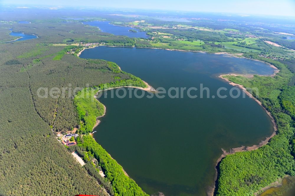 Klein Quassow from the bird's eye view: Forests on the shores of Lake Grosser Labussee in Klein Quassow in the state Mecklenburg - Western Pomerania, Germany