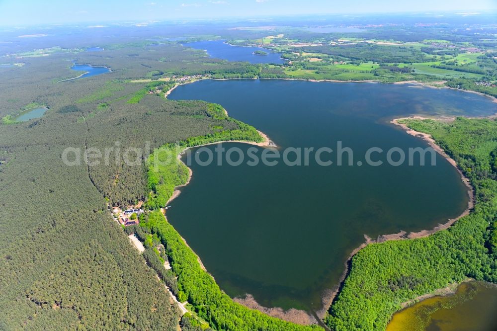 Aerial image Klein Quassow - Forests on the shores of Lake Grosser Labussee in Klein Quassow in the state Mecklenburg - Western Pomerania, Germany