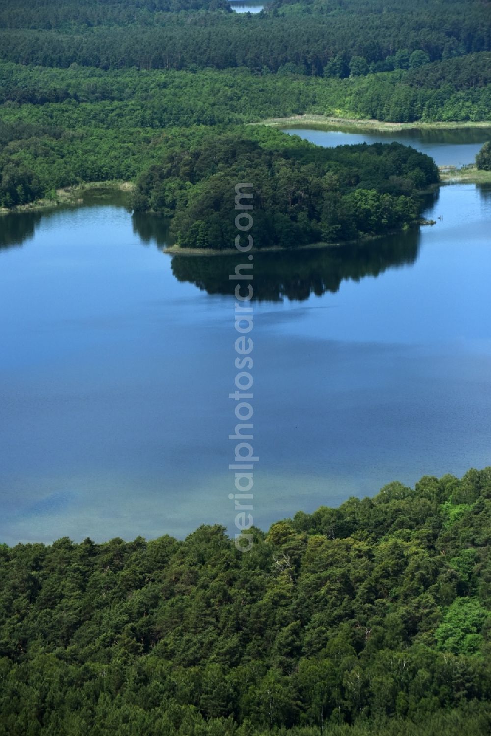 Schulzenhof from the bird's eye view: Forests on the shores of Lake Grosser Tietzensees in Schulzenhof in the state Brandenburg