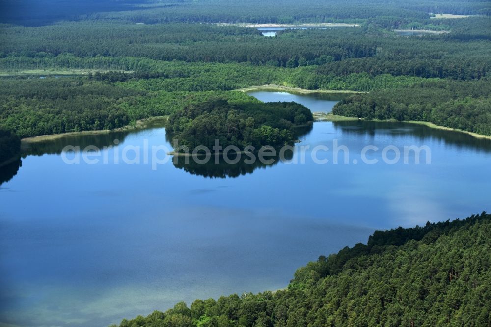 Aerial image Schulzenhof - Forests on the shores of Lake Grosser Tietzensees in Schulzenhof in the state Brandenburg