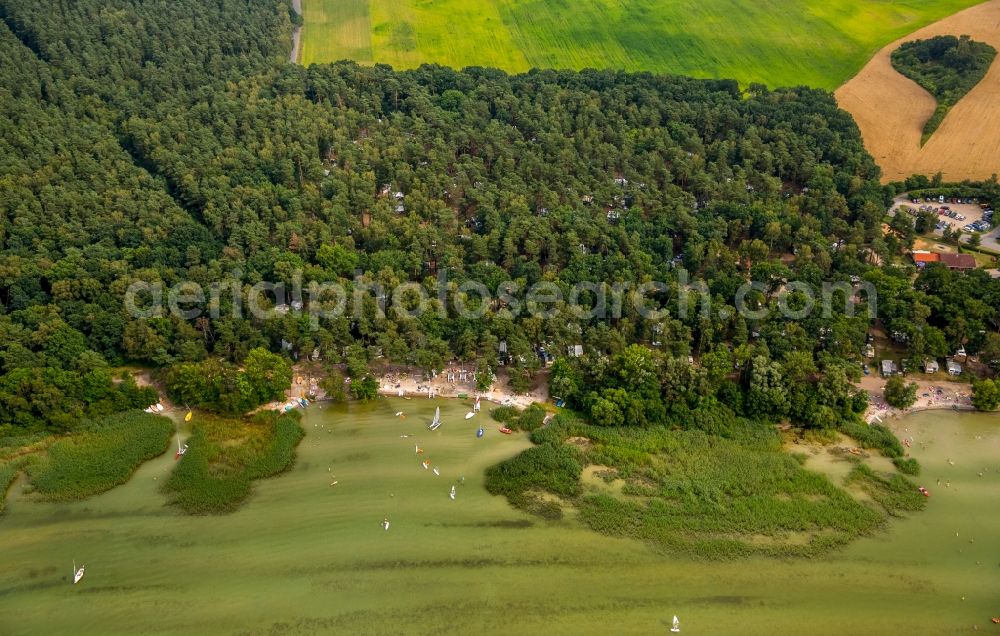 Aerial image Boeker Mühle - Forests on the shores of Lake Mueritz with the area of surf school Katamaran- und Surfmuehle - Die Surfschule und Segelschule an der Mueritz in Boeker Muehle in the state Mecklenburg - Western Pomerania