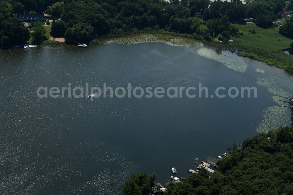 Lärz from the bird's eye view: Forests on the shores of Lake Nebel in Laerz in the state Mecklenburg - Western Pomerania