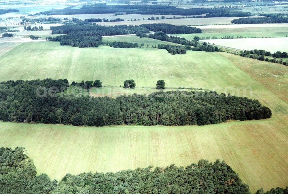 Aerial image Ahrensdorf bei Ludwigsfelde / Brandenburg - Waldgrundstück bei Ahrensdorf / Brandenburg.