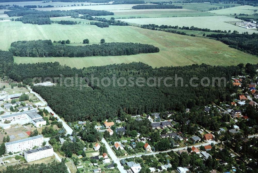 Ahrensdorf bei Ludwigsfelde / Brandenburg from the bird's eye view: Waldgrundstück bei Ahrensdorf / Brandenburg.